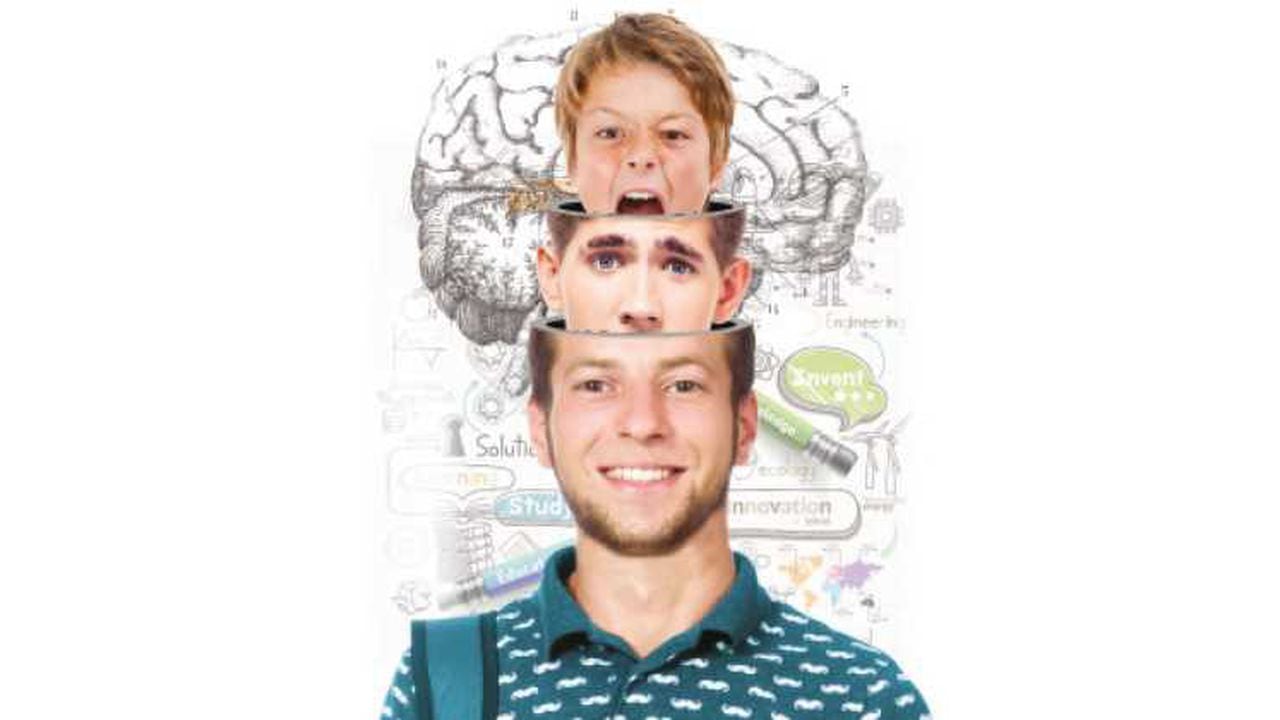 Neurolog A El Cerebro Adolescente