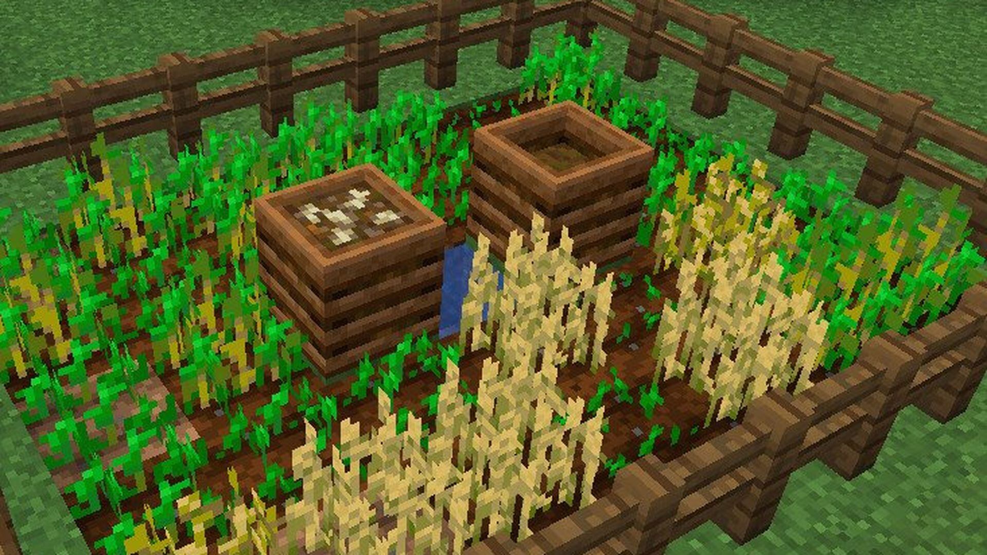 Uma empresa está pagando 390 reais por hora para você ser jardineiro em  Minecraft