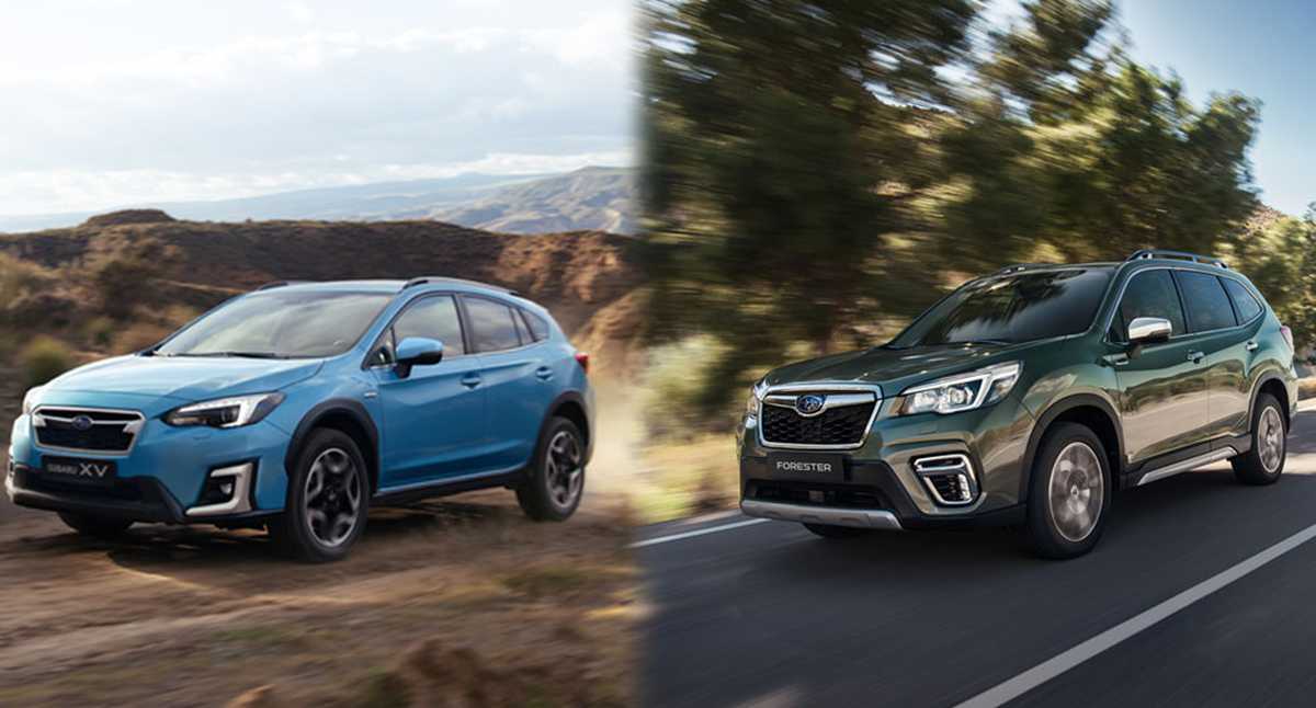 Subaru características y precio de las nuevas 4x4 híbridas