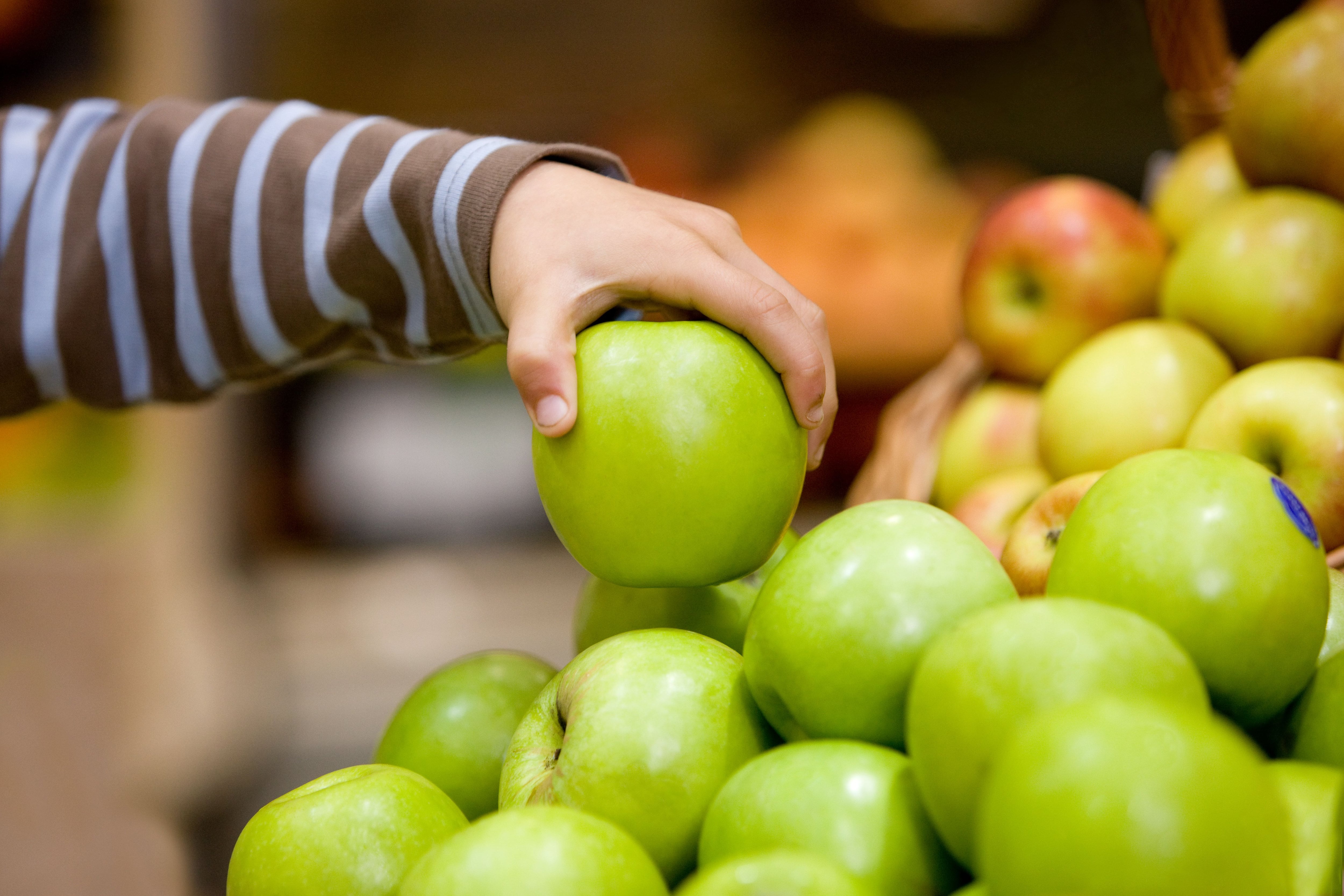 Fruta Fresca: Concentración y Memoria ➤ Especial Estudiantes