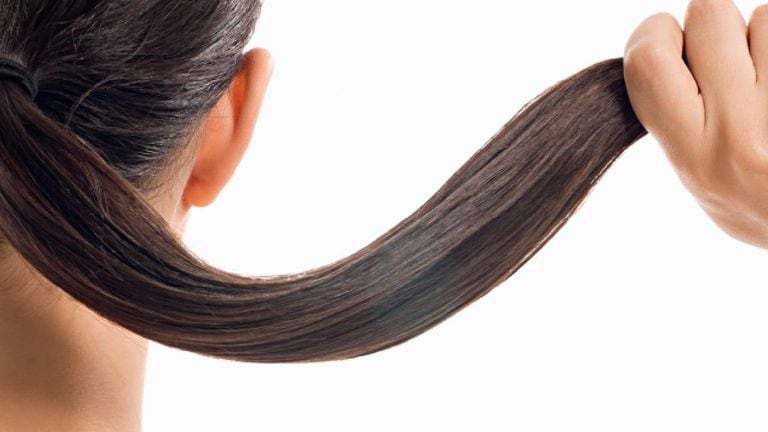 La Nación / Cómo utilizar la ruda para fortalecer el cabello y detener la  caída