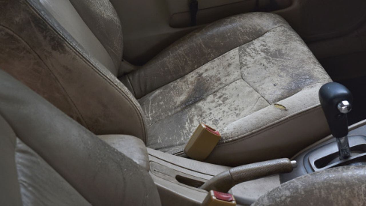 Limpiar la tapicería del coche: Guía completa - Swipcar