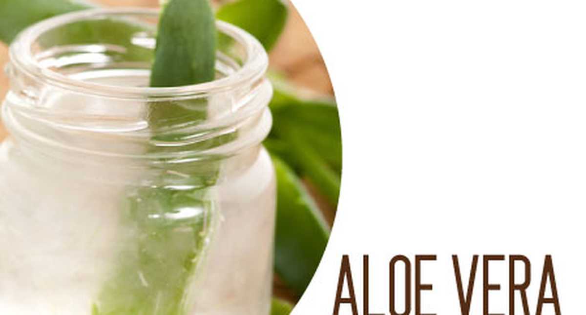 ¿cómo Preparar Jugo De Aloe Vera Y Cuáles Son Sus Beneficiosemk 6919