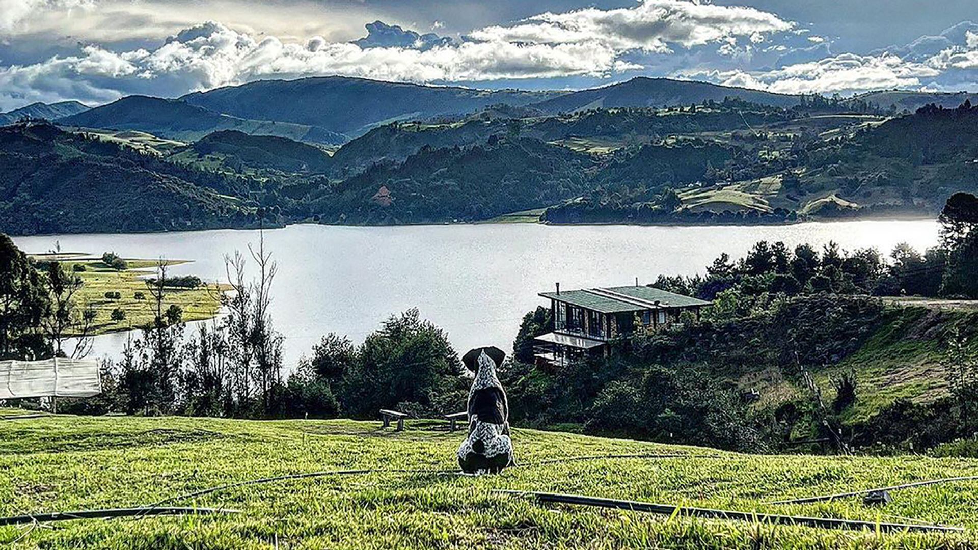 Ya está listo el primer parque para perros en Bogotá