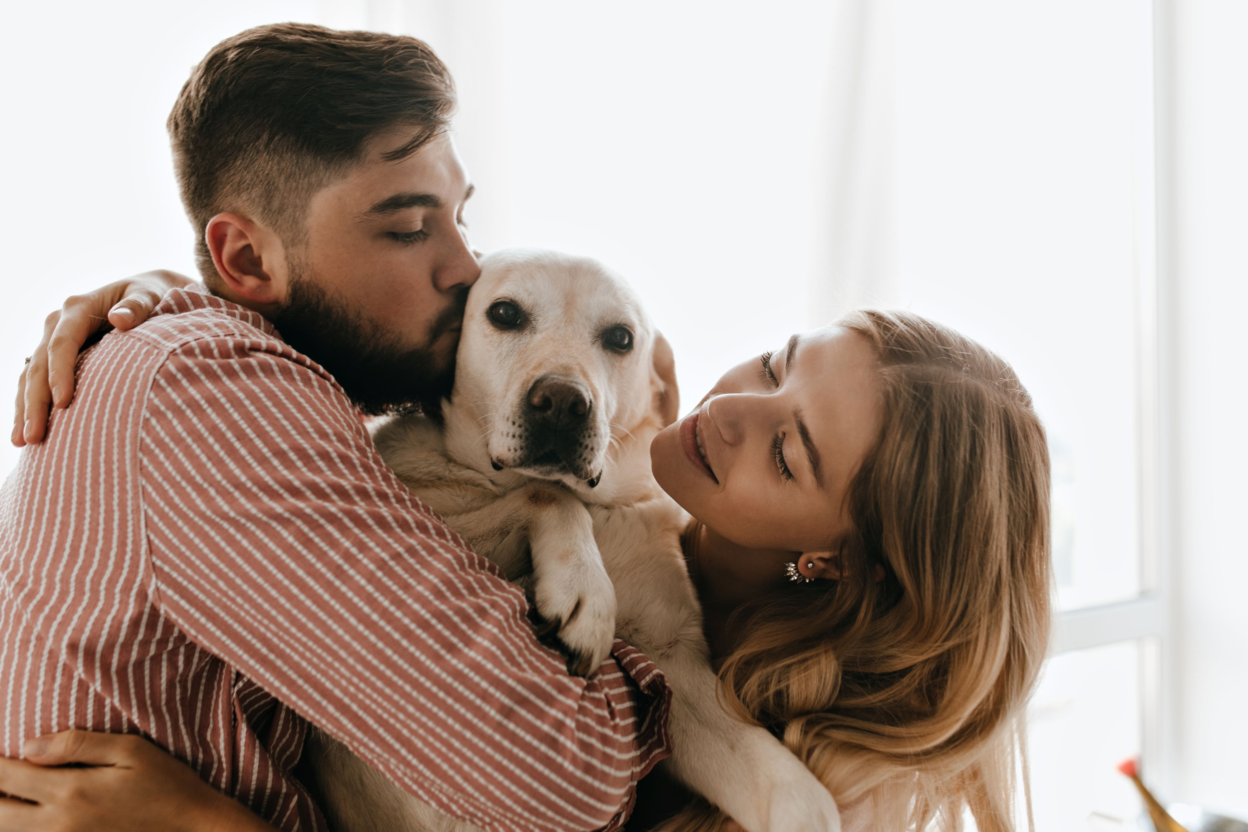 ¿Celos excesivos? Se reveló por qué los perros ladran cuando las personas  se besan