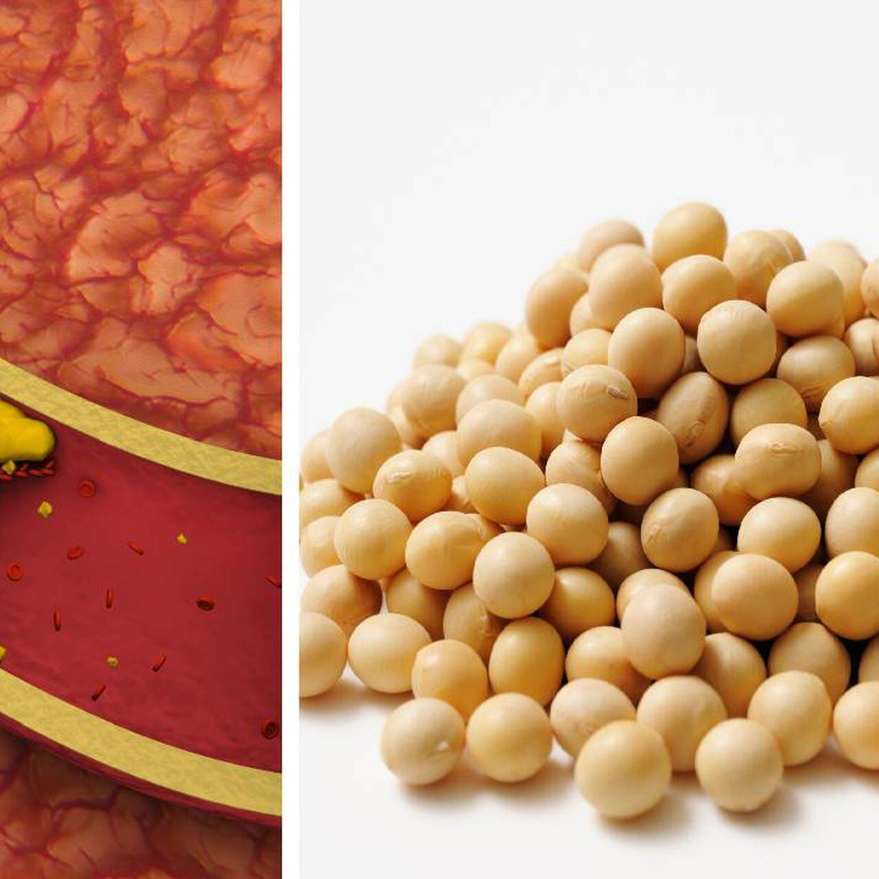 Tenemos Lecitina de soja granulada ✨🙌🏽 Se recomienda consumir una  cucharada chica al día.. 💯 🧡 Reduce el colesterol y triglicéridos 💙…