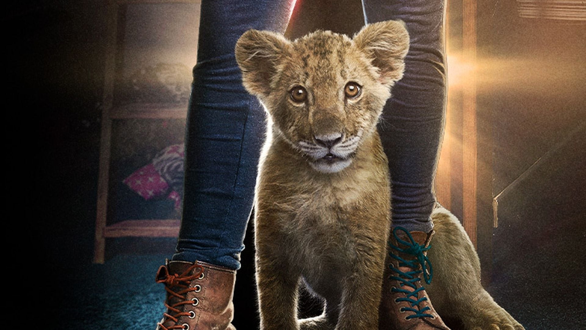 KING: la conmovedora película sobre el vínculo entre un león cachorro y una  niña de 12 años que expone el tráfico de animales