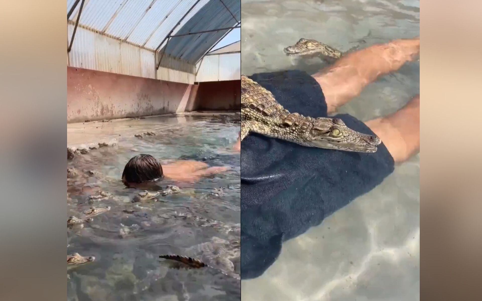 Video | Un niño se volvió viral por nadar en una piscina llena de cocodrilos  bebés