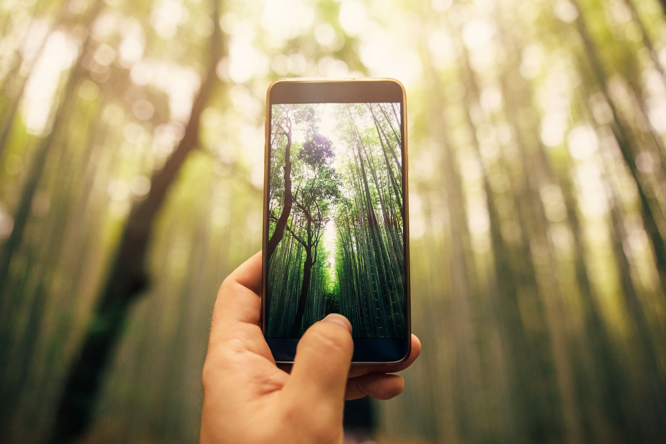 Ajuste De Los Teléfonos Inteligentes Con Pantalla Táctil Fotos, retratos,  imágenes y fotografía de archivo libres de derecho. Image 12247219