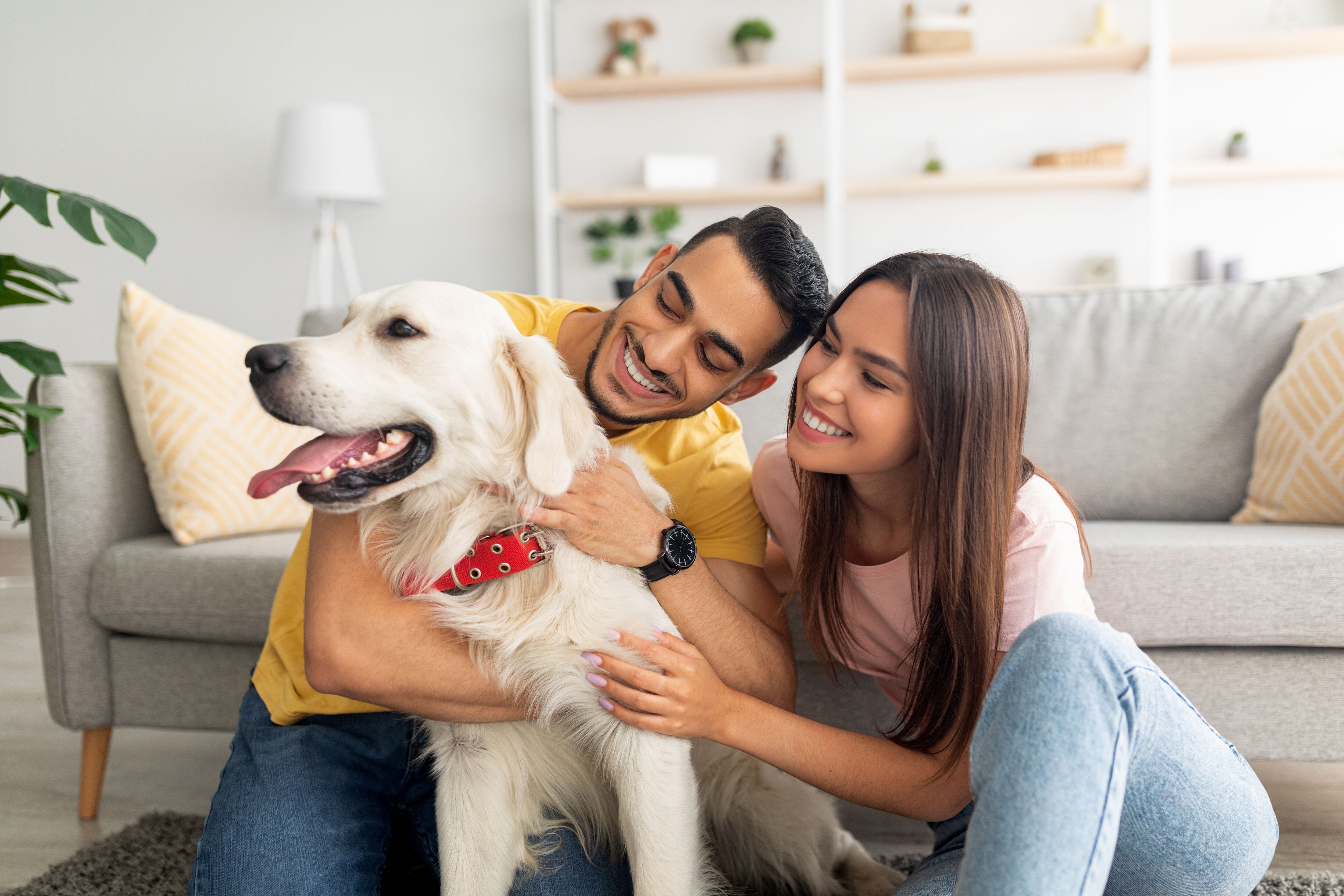 valen la pena los planes de bienestar para cachorros