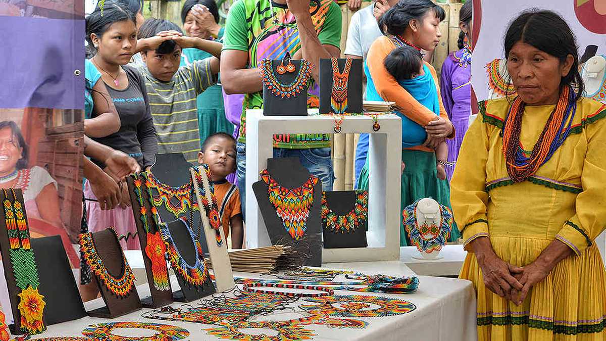 Los Embera En Risaralda En Medio De La Reintegración Y La Paz 