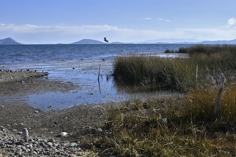 El nivel del agua del lago Titicaca, a 3.807 metros sobre el nivel del mar, hoy se ubica 25 centímetros por encima del mínimo histórico registrado en 1996, dijo a la AFP Lucia Walper, jefa de la Unidad de Pronósticos del Servicio Nacional de Hidrología y Meteorología (Senhami) de Bolivia, el 10 de agosto de 2023. (Foto de Aizar RALDES / AFP)