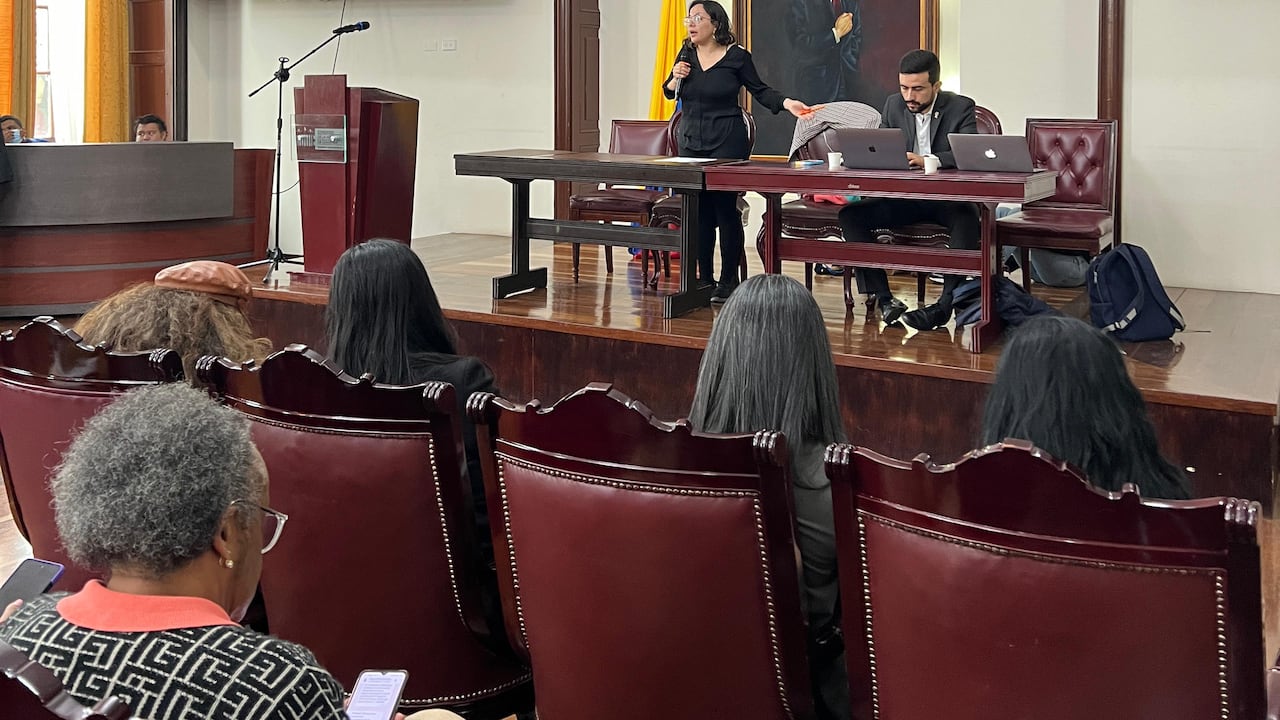 La representante a la Cámara Jennifer Pedraza convocó a una audiencia pública sobre la crisis en el Fomag.