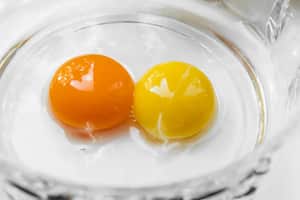 Es inusual que un huevo tenga dos yemas.