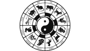 Horóscopo chino con cada uno de sus animales representados.