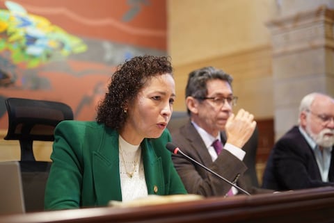 Representante Olga Lucía Velázquez de la Alianza Verde.
