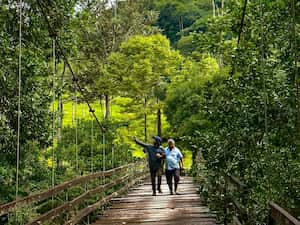 El bosque Tosh, además de compensar la huella de carbono de la marca, ha impulsado las realidades de las comunidades que allí habitan.