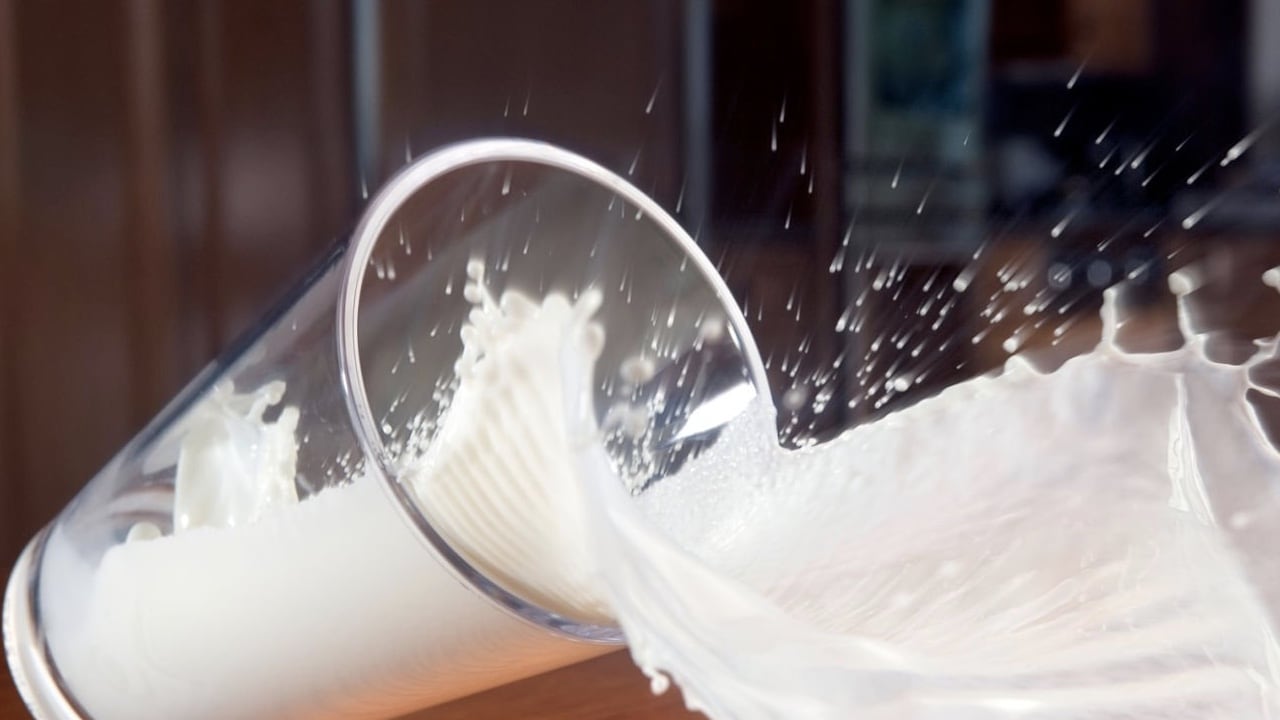 La leche proporciona entre un 10 % y un 15 % de la ingesta diaria recomendada de vitaminas del complejo B