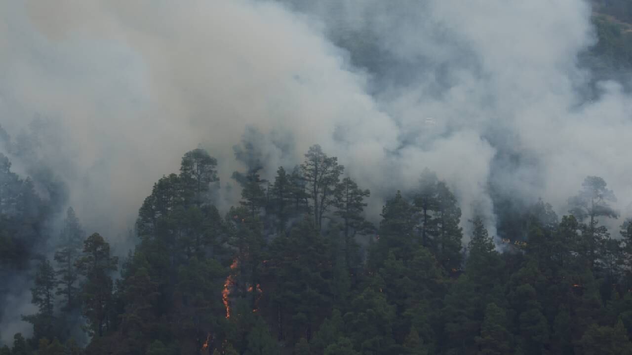 Panorama del incendio forestal de Tijarafe, en la isla canaria de La Palma (España), el 17 de julio de 2023.