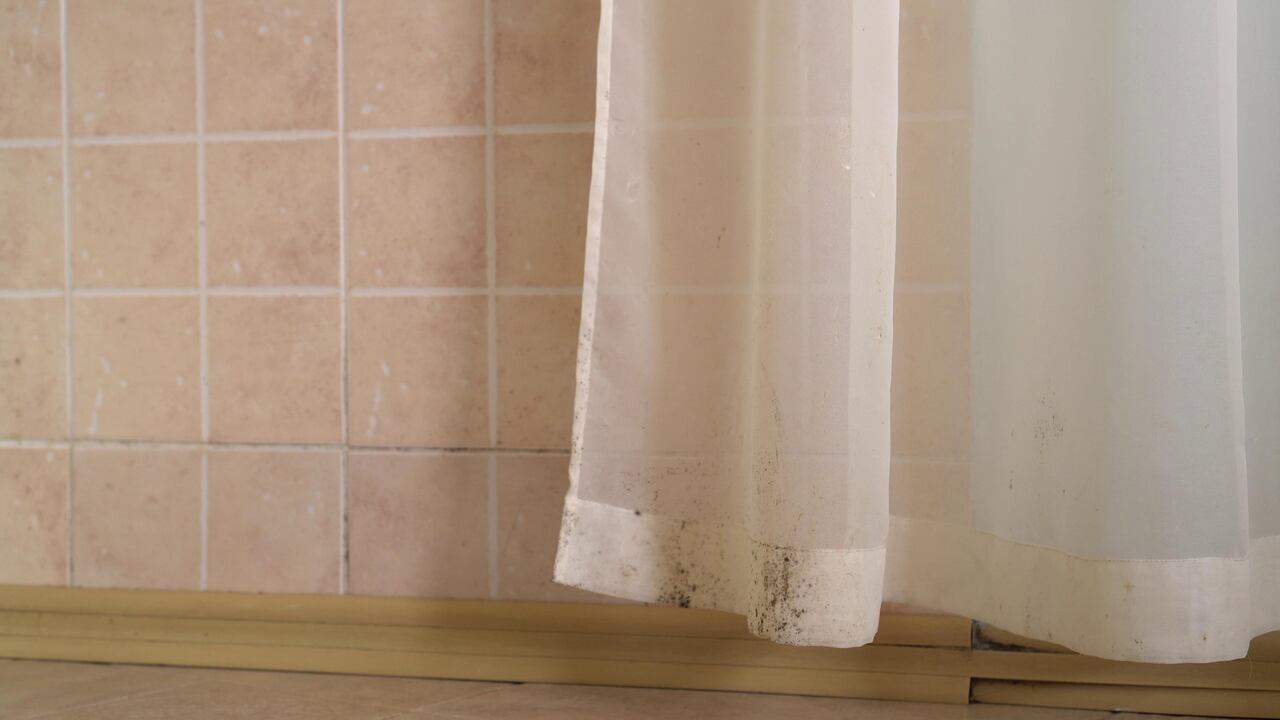 Las cortinas del baño puede acumular moho por la falta de ventilación.