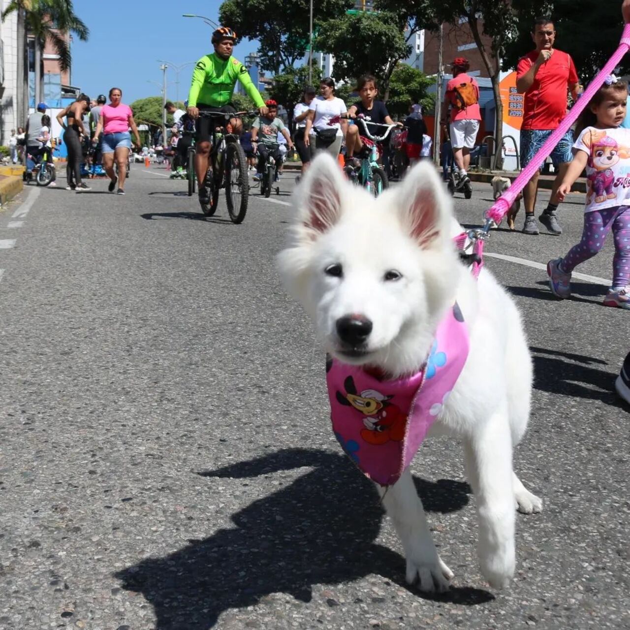 La recreovía es un espacio para disfrutar en familia y las mascotas.