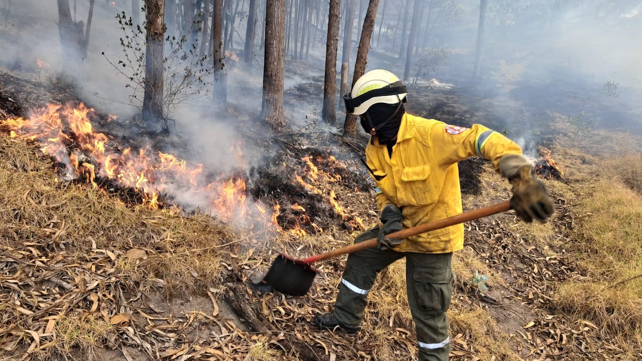 Incendio forestal en Soacha.
