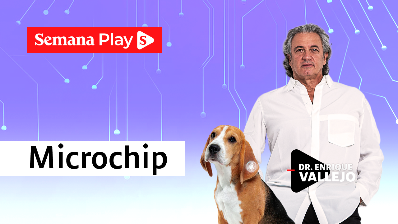 Microchip | Enrique Vallejo en Salud Animal