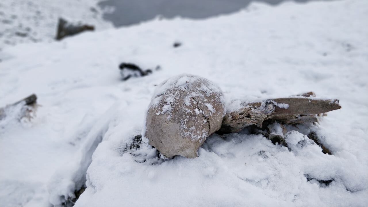 Hallazgos arqueológicos bajo la nieve