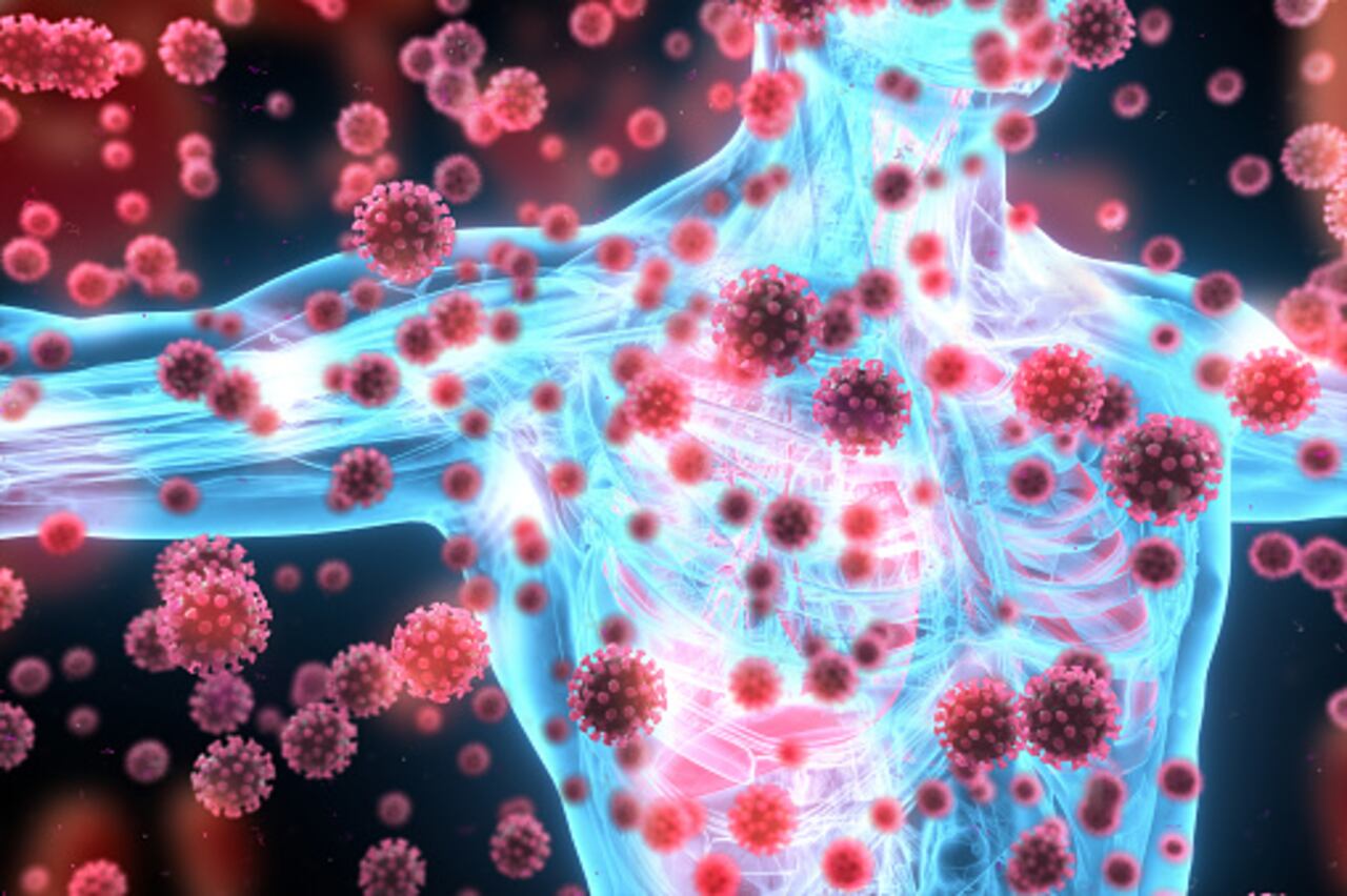 El sistema inmunitario es el sistema de defensa del cuerpo contra las infecciones.