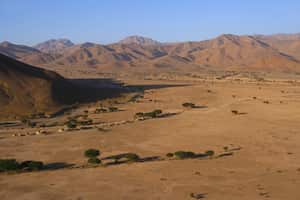 In the region of Sous Massa, near Tata, in south-eastern Morocco, stretches a desert plain of the Sahara Desert, near the Anti-Atlas mountain range at the foot of Jebel Bani. The desert advances little by little and sand dunes sometimes cover the palm trees of the great oasis.