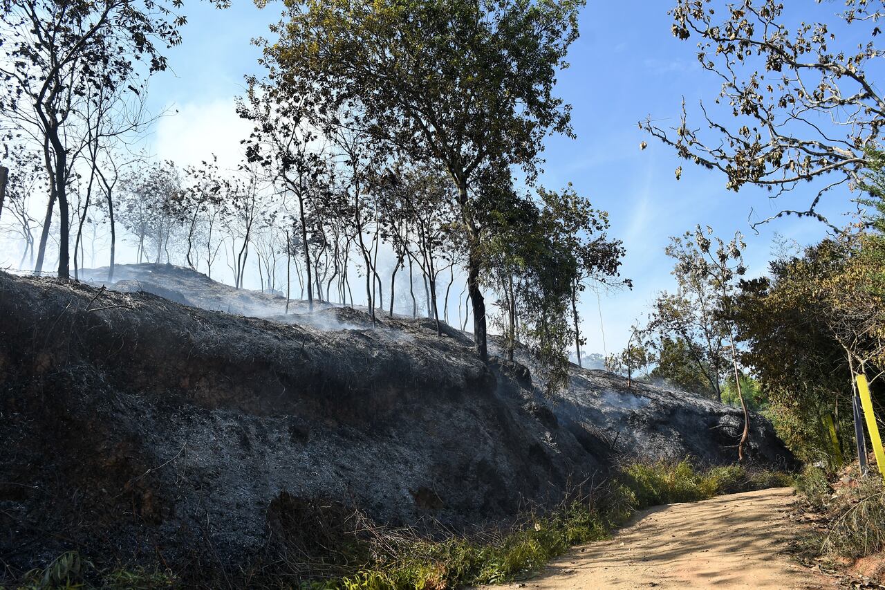 de 20Incendio forestal en la buitrera , Sep 21 23, en Cali Valle