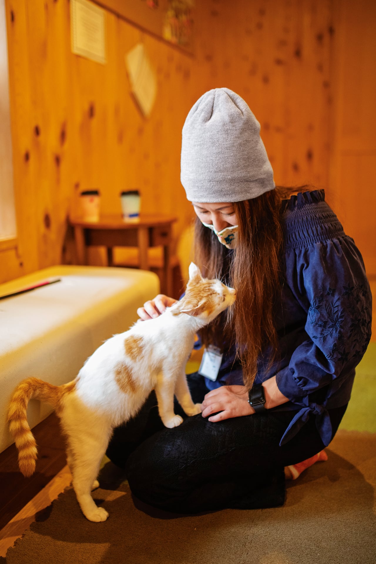Lejos de ser excepcionales para los japoneses, las cafeterías con gatos son espacios naturales de interacción. Las hay especializadas en razas o en colores y se paga por el tiempo de estadía.
