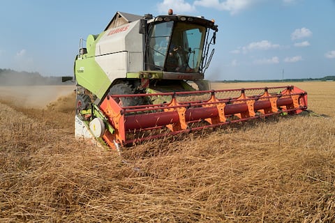 Mientras que el primero importa el 80% de su trigo del mar Negro, el segundo transforma el grano en harina para reexportarlo hacia Oriente Medio, África o Asia, precisa Laborde.