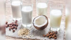 La leche de coco ayuda a mejorar el metabolismo, mientras que la de almendras es rica en fibra prebiótica. Foto: Getty images.