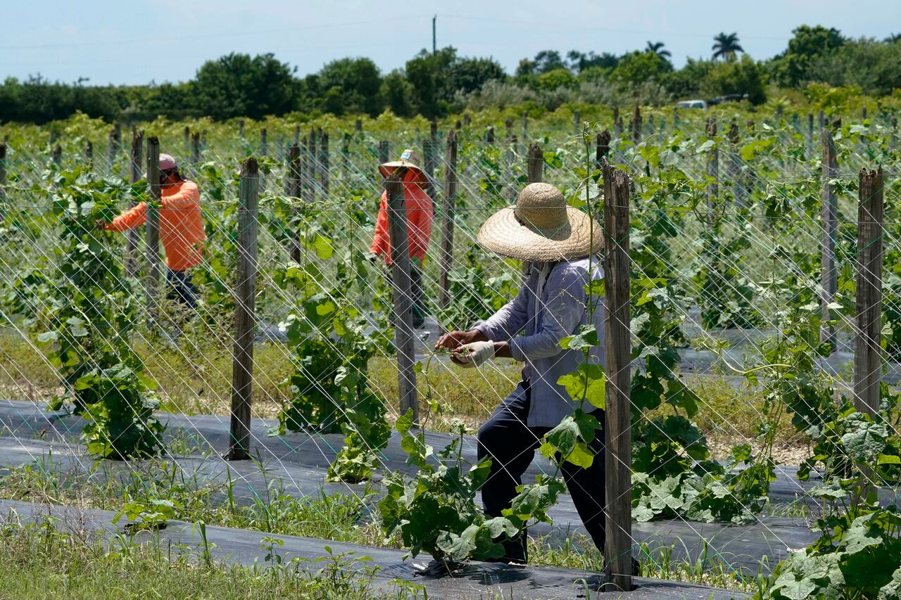 Para muchos de los inmigrantes en Florida, la vida cotidiana ha cambiado radicalmente en los últimos meses y está marcada ahora por el miedo.