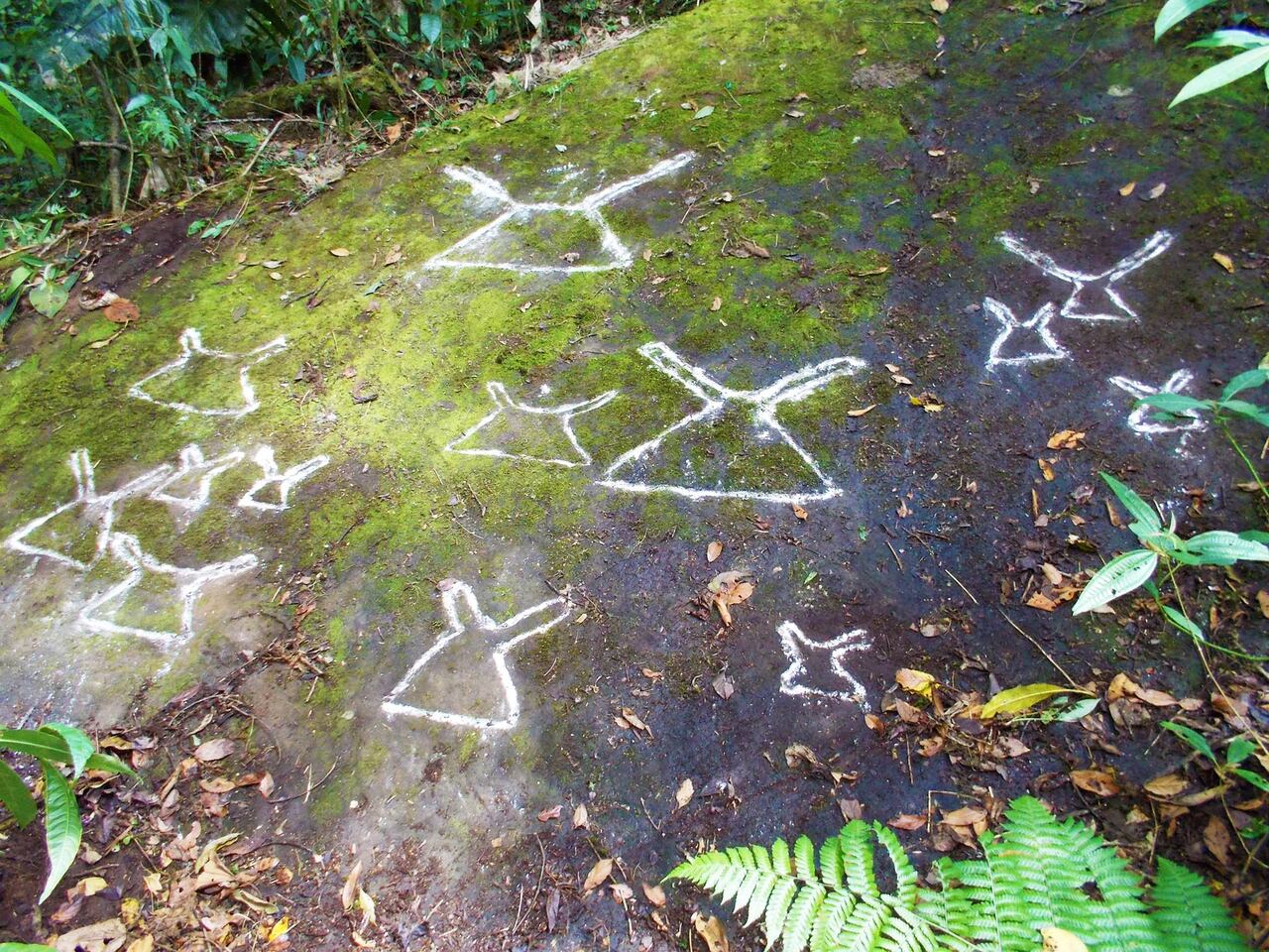 Petroglifos en la vereda La Amalia.