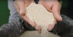 Los cultivos de quinua, crecen de la mano de un gigante de la industria alimentaria: Doria.