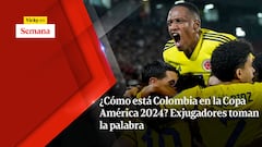 ¿Cómo está Colombia en la Copa América 2024? Exjugadores toman la palabra