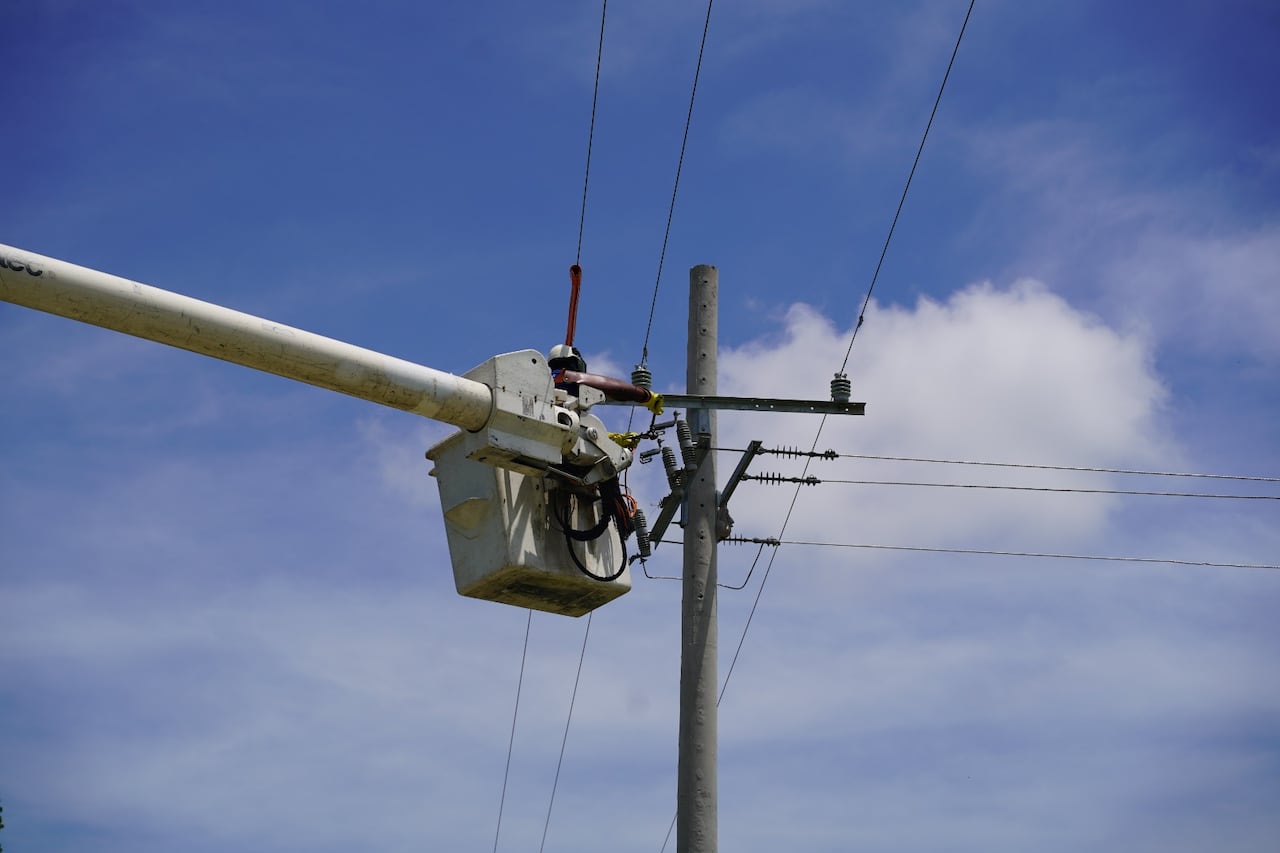 Mantenimiento en redes eléctricas.