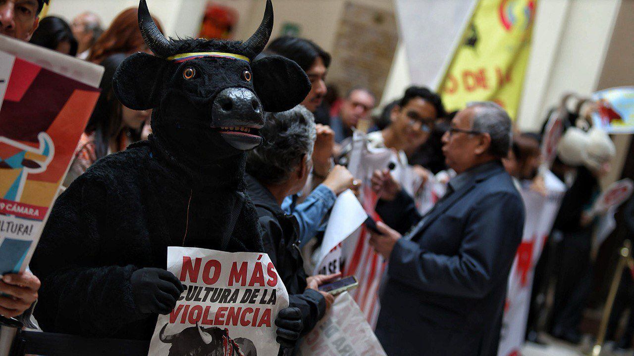 Congreso de Colombia define proyecto de para la prohibición de las corridas de toros.