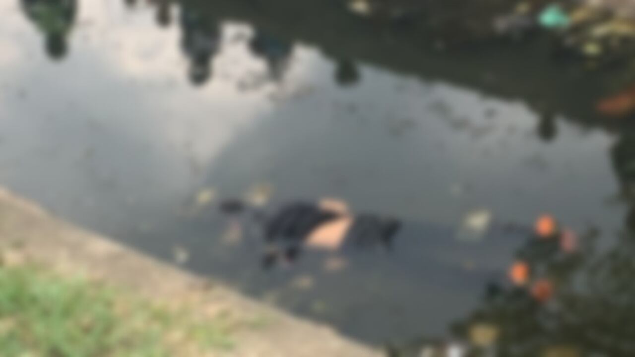 Cadáver hallado en un canal de Cali