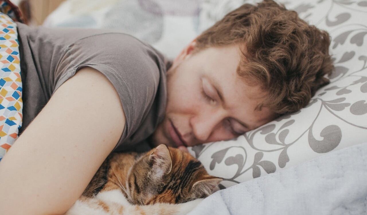 Dormir todos los días con esta mascota podría traer daños para el organismo