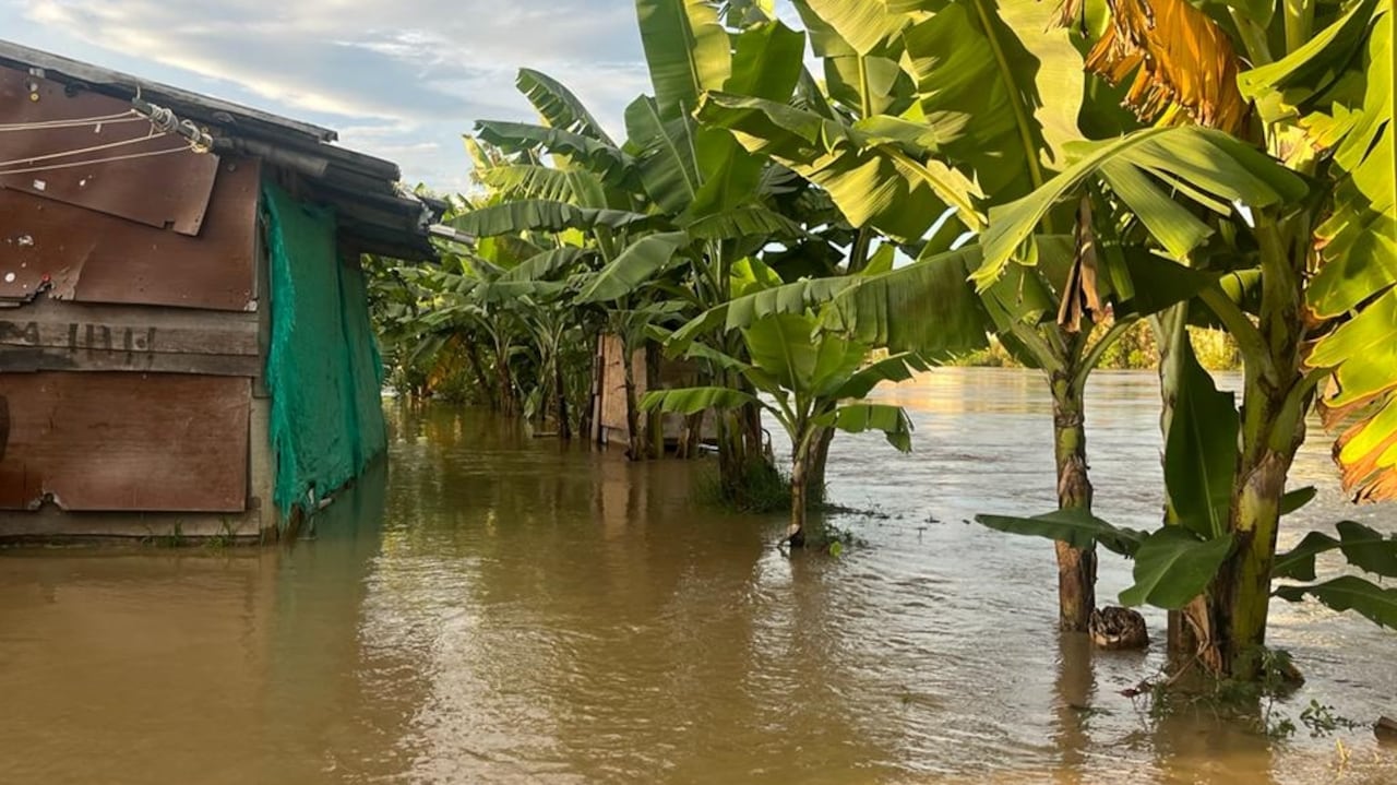 Esto es lo que le espera a Cali en los próximos meses de cara a la temporada de lluvias.