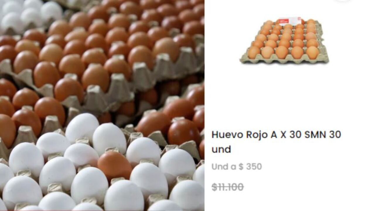 El huevo sigue bajando su precio en Colombia