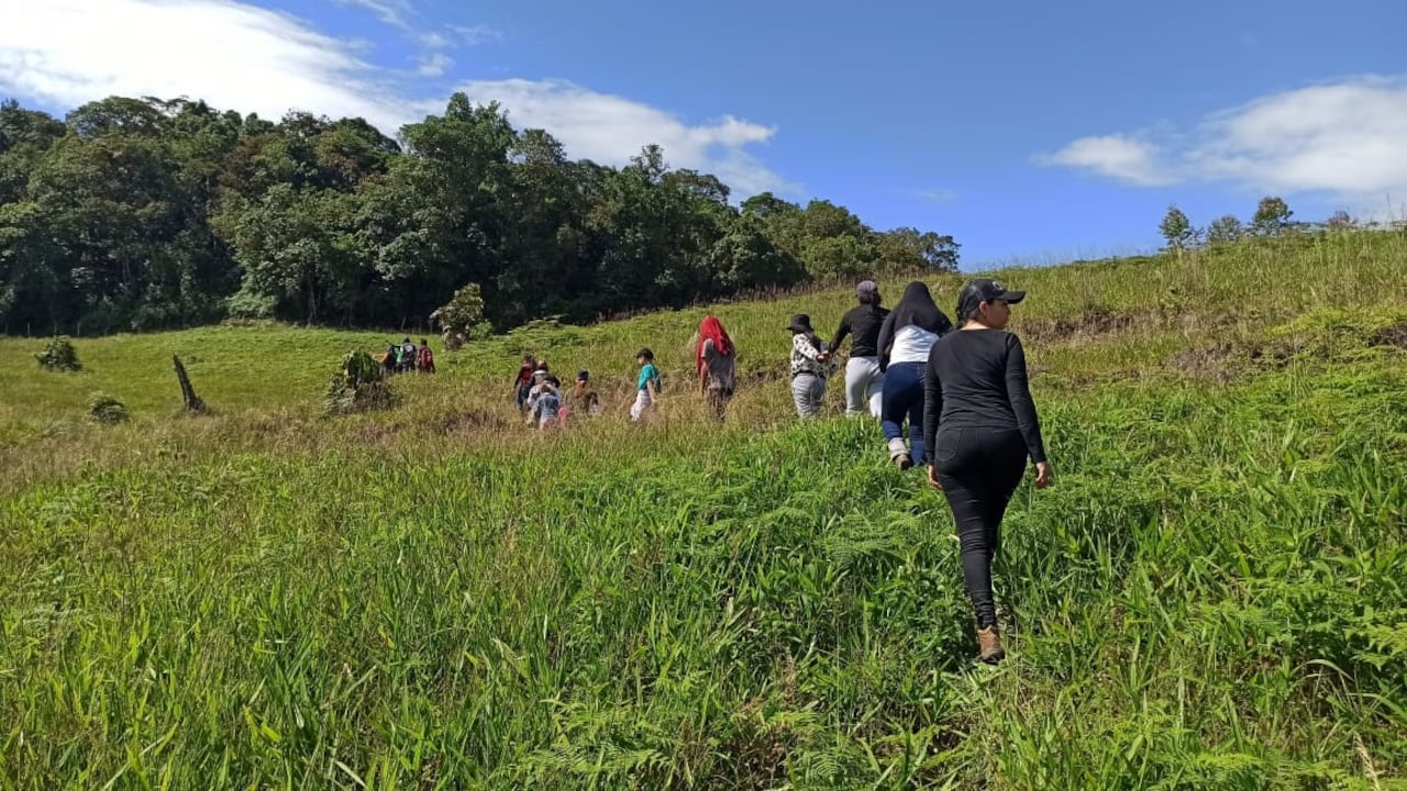 Menores indígenas del Huila conforman grupo de conservación ambiental
