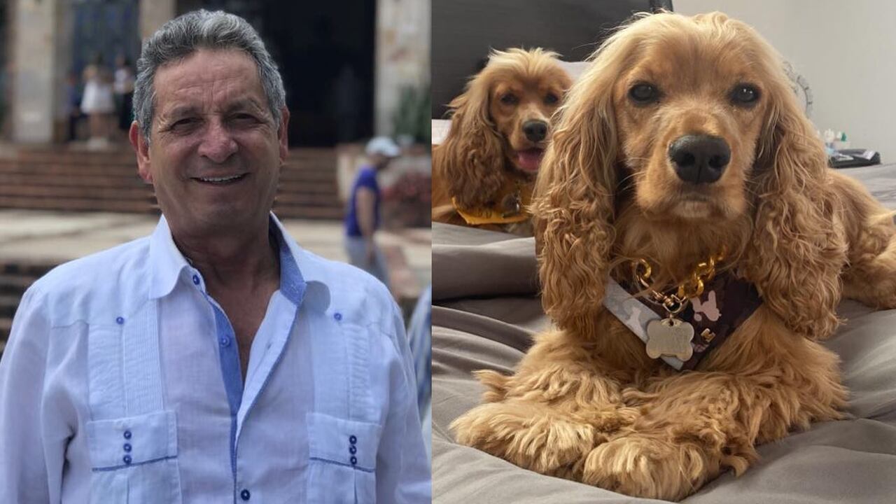 Darío Gómez llamaba a sus mascotas 'Chachurritos'. Fotos: Instagram @elreydeldespecho.