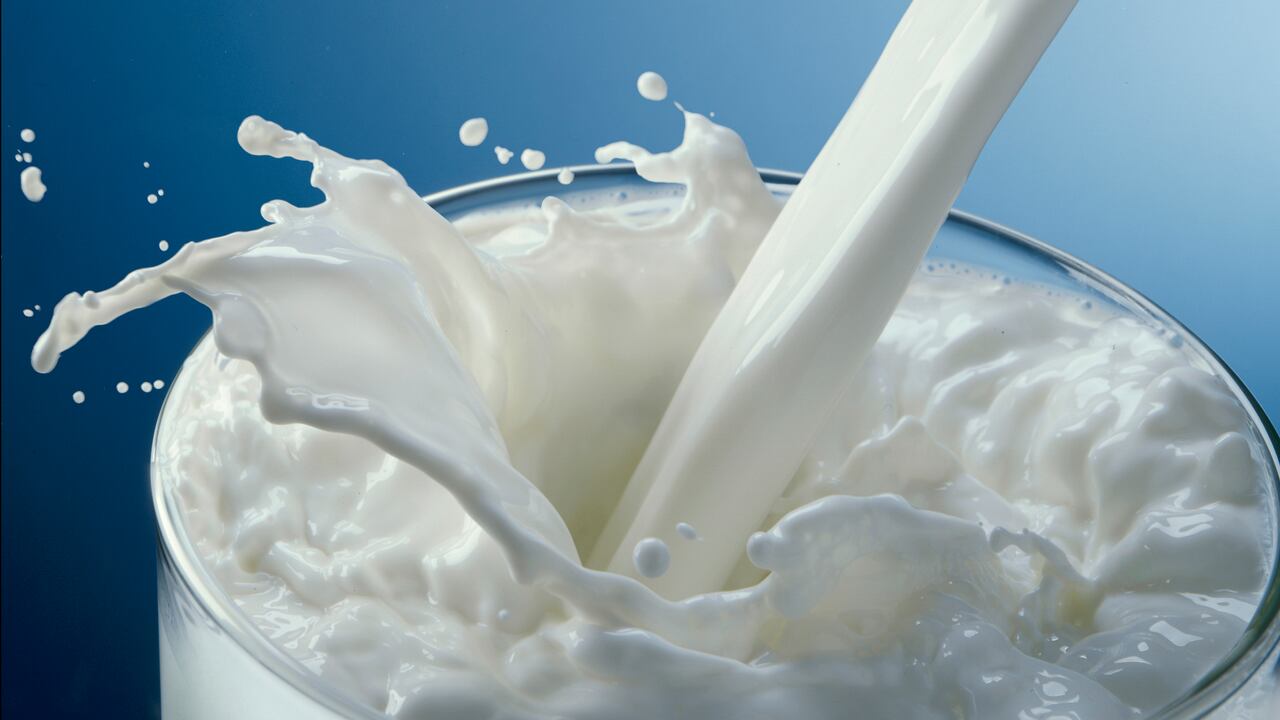 Foto de referencia sobre leche