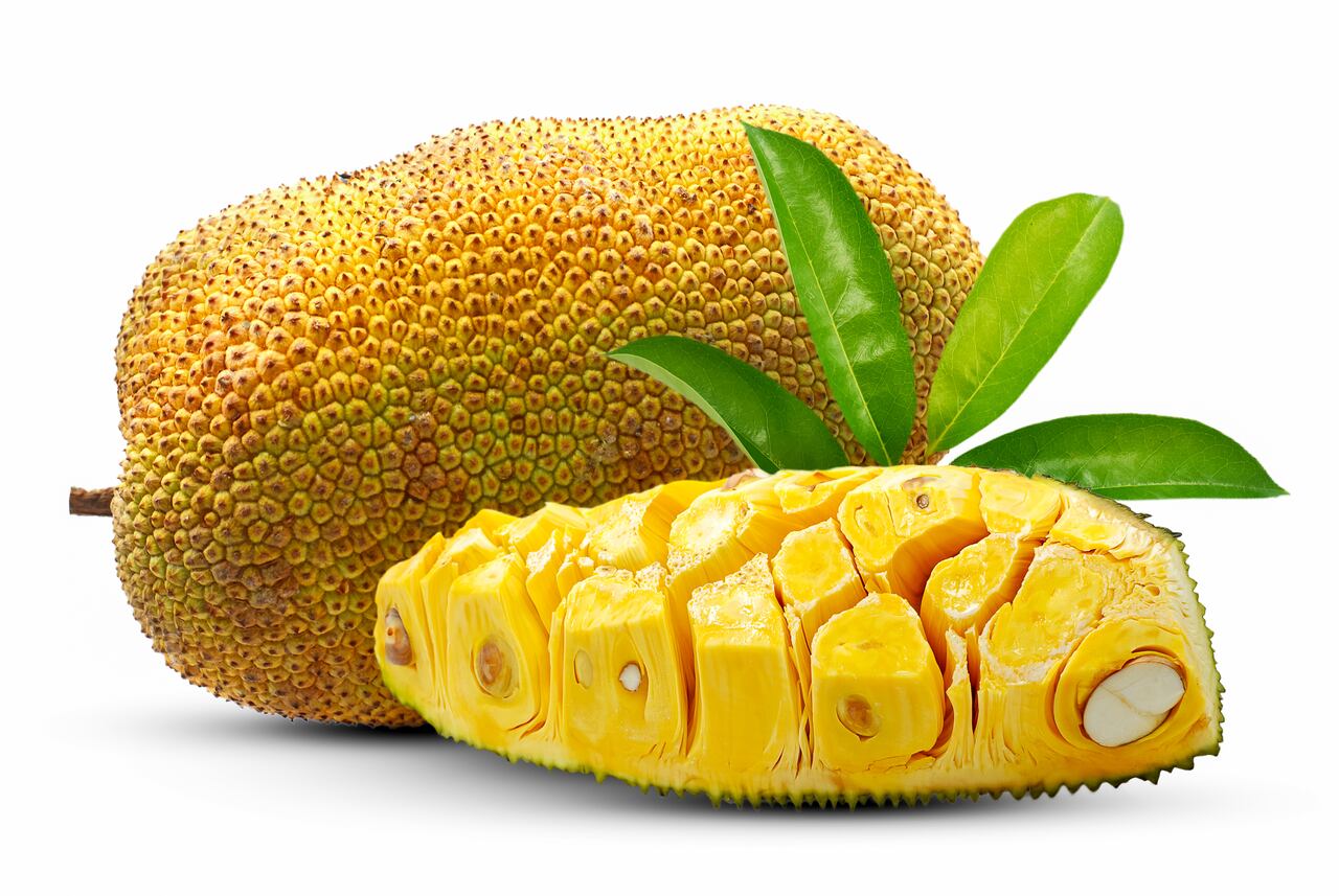 Jaca - Jackfruit  - Yaca