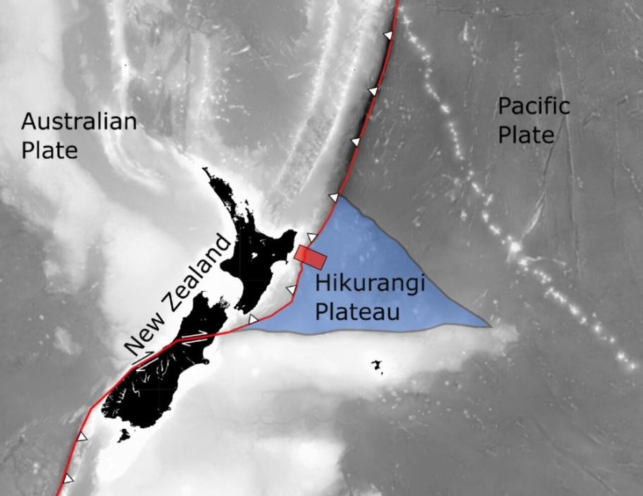 La meseta de Hikurangi es un vestigio de una serie de erupciones volcánicas épicas que comenzaron hace 125 millones de años en el Océano Pacífico.