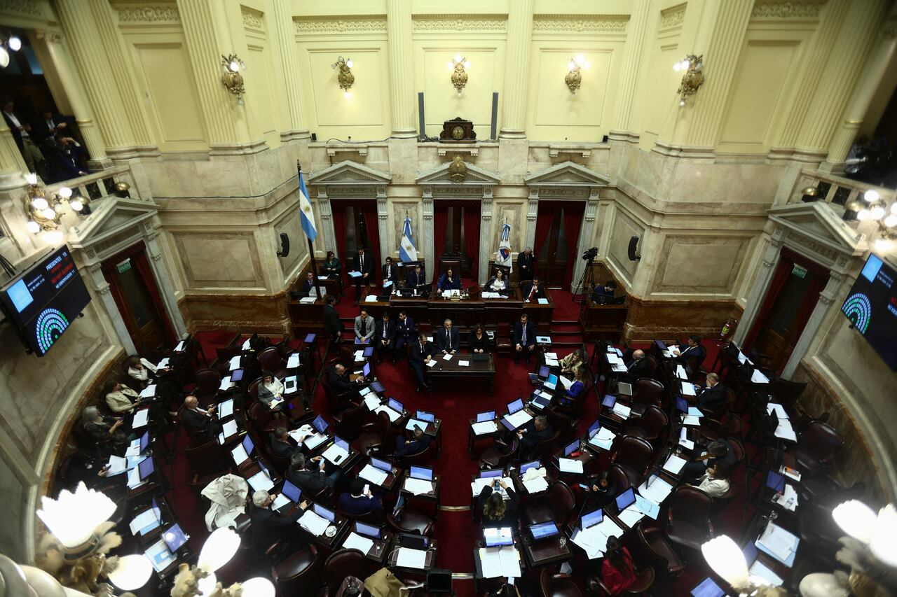 Es el primer respaldo legislativo tras seis meses de gobierno de Milei, cuyo pequeño partido La Libertad Avanza es minoritario en ambas cámaras, con solo siete de las 72 bancas en el Senado.